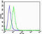 GLI Family Zinc Finger 2 antibody, LS-C344252, Lifespan Biosciences, Flow Cytometry image 