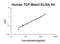 Transforming Growth Factor Beta 3 antibody, EK1103, Boster Biological Technology, Enzyme Linked Immunosorbent Assay image 