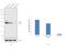 Protein Disulfide Isomerase Family A Member 6 antibody, PA3-008, Invitrogen Antibodies, Western Blot image 