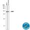 ATR Interacting Protein antibody, AF1579, R&D Systems, Western Blot image 