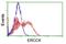 ERCC Excision Repair 4, Endonuclease Catalytic Subunit antibody, NBP2-45503, Novus Biologicals, Flow Cytometry image 