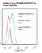 TNF Receptor Superfamily Member 13C antibody, LS-C357672, Lifespan Biosciences, Flow Cytometry image 