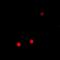 PR/SET Domain 14 antibody, orb340932, Biorbyt, Immunofluorescence image 