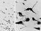 Oxytocin/Neurophysin I Prepropeptide antibody, orb20186, Biorbyt, Immunohistochemistry paraffin image 