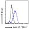 Caspase 6 antibody, 43-366, ProSci, Western Blot image 