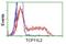 T-Complex 11 Like 2 antibody, NBP2-03100, Novus Biologicals, Flow Cytometry image 