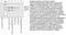 TTK Protein Kinase antibody, 44-1330G, Invitrogen Antibodies, Western Blot image 