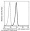 Signal Regulatory Protein Alpha antibody, 50956-R001-F, Sino Biological, Flow Cytometry image 