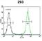 OTU Domain Containing 6B antibody, abx032623, Abbexa, Western Blot image 