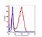 CD5 Molecule antibody, FC00480, Boster Biological Technology, Flow Cytometry image 