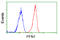 Profilin 1 antibody, GTX83903, GeneTex, Flow Cytometry image 