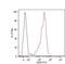 Solute Carrier Family 3 Member 2 antibody, MA1-19509, Invitrogen Antibodies, Flow Cytometry image 