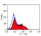 T-cell surface glycoprotein CD1b3 antibody, MCA566PE, Bio-Rad (formerly AbD Serotec) , Flow Cytometry image 
