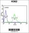 Rho GTPase Activating Protein 17 antibody, 55-397, ProSci, Flow Cytometry image 