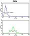 Cell division cycle protein 20 homolog antibody, LS-C168583, Lifespan Biosciences, Flow Cytometry image 