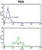 Cell Division Cycle 20 antibody, LS-C168583, Lifespan Biosciences, Flow Cytometry image 