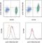 LCK Proto-Oncogene, Src Family Tyrosine Kinase antibody, 50-9076-42, Invitrogen Antibodies, Flow Cytometry image 