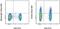 Sphingosine-1-Phosphate Receptor 1 antibody, 50-3639-41, Invitrogen Antibodies, Flow Cytometry image 