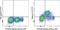 Galectin 9 antibody, 11-9211-82, Invitrogen Antibodies, Flow Cytometry image 