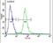 Potassium Channel Tetramerization Domain Containing 12 antibody, PA5-26281, Invitrogen Antibodies, Flow Cytometry image 