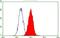 TGF beta antibody, NBP2-46108, Novus Biologicals, Flow Cytometry image 