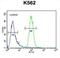 Protein dpy-19 homolog 1 antibody, abx025950, Abbexa, Flow Cytometry image 