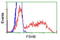 Follicle Stimulating Hormone Subunit Beta antibody, TA501581, Origene, Flow Cytometry image 