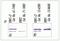 Erk1 antibody, 13-6200, Invitrogen Antibodies, Immunoprecipitation image 