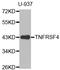 TNF Receptor Superfamily Member 4 antibody, LS-C335388, Lifespan Biosciences, Western Blot image 