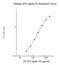 Interferon Alpha 2 antibody, NBP2-60574, Novus Biologicals, Enzyme Linked Immunosorbent Assay image 