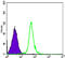 Structural Maintenance Of Chromosomes 1A antibody, abx015996, Abbexa, Enzyme Linked Immunosorbent Assay image 