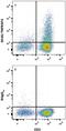 TNF Receptor Superfamily Member 4 antibody, MAB3388, R&D Systems, Western Blot image 