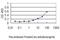 Junction Plakoglobin antibody, H00003728-M01, Novus Biologicals, Enzyme Linked Immunosorbent Assay image 