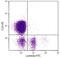 Immunoglobulin Lambda Constant 1 antibody, 99-271, ProSci, Immunohistochemistry frozen image 