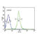 Haptoglobin antibody, abx034163, Abbexa, Western Blot image 