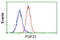 Fibroblast Growth Factor 21 antibody, LS-C172922, Lifespan Biosciences, Flow Cytometry image 