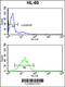 DEAD-Box Helicase 17 antibody, 63-895, ProSci, Flow Cytometry image 