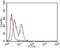 CD63 Molecule antibody, NBP2-36567, Novus Biologicals, Flow Cytometry image 