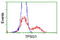 Tryptase Gamma 1 antibody, TA504128, Origene, Flow Cytometry image 