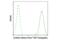 Beta-Actin antibody, 8584S, Cell Signaling Technology, Flow Cytometry image 