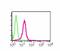 Lymphoid Enhancer Binding Factor 1 antibody, ab53293, Abcam, Flow Cytometry image 