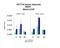 Mediator Complex Subunit 7 antibody, PA5-44853, Invitrogen Antibodies, Chromatin Immunoprecipitation image 