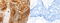 THAP Domain Containing 9 antibody, TA351801, Origene, Immunohistochemistry frozen image 