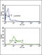 Malate Dehydrogenase 1 antibody, 61-590, ProSci, Flow Cytometry image 