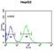 Alkaline Ceramidase 3 antibody, abx034173, Abbexa, Western Blot image 