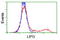 Lipase G, Endothelial Type antibody, TA501022, Origene, Flow Cytometry image 