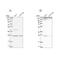 Growth Factor Receptor Bound Protein 2 antibody, NBP2-55208, Novus Biologicals, Western Blot image 