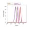 Forkhead Box N1 antibody, 720152, Invitrogen Antibodies, Flow Cytometry image 