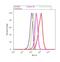 Spectrin Beta, Non-Erythrocytic 4 antibody, 701938, Invitrogen Antibodies, Flow Cytometry image 