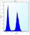 Argininosuccinate Synthase 1 antibody, LS-C156555, Lifespan Biosciences, Flow Cytometry image 